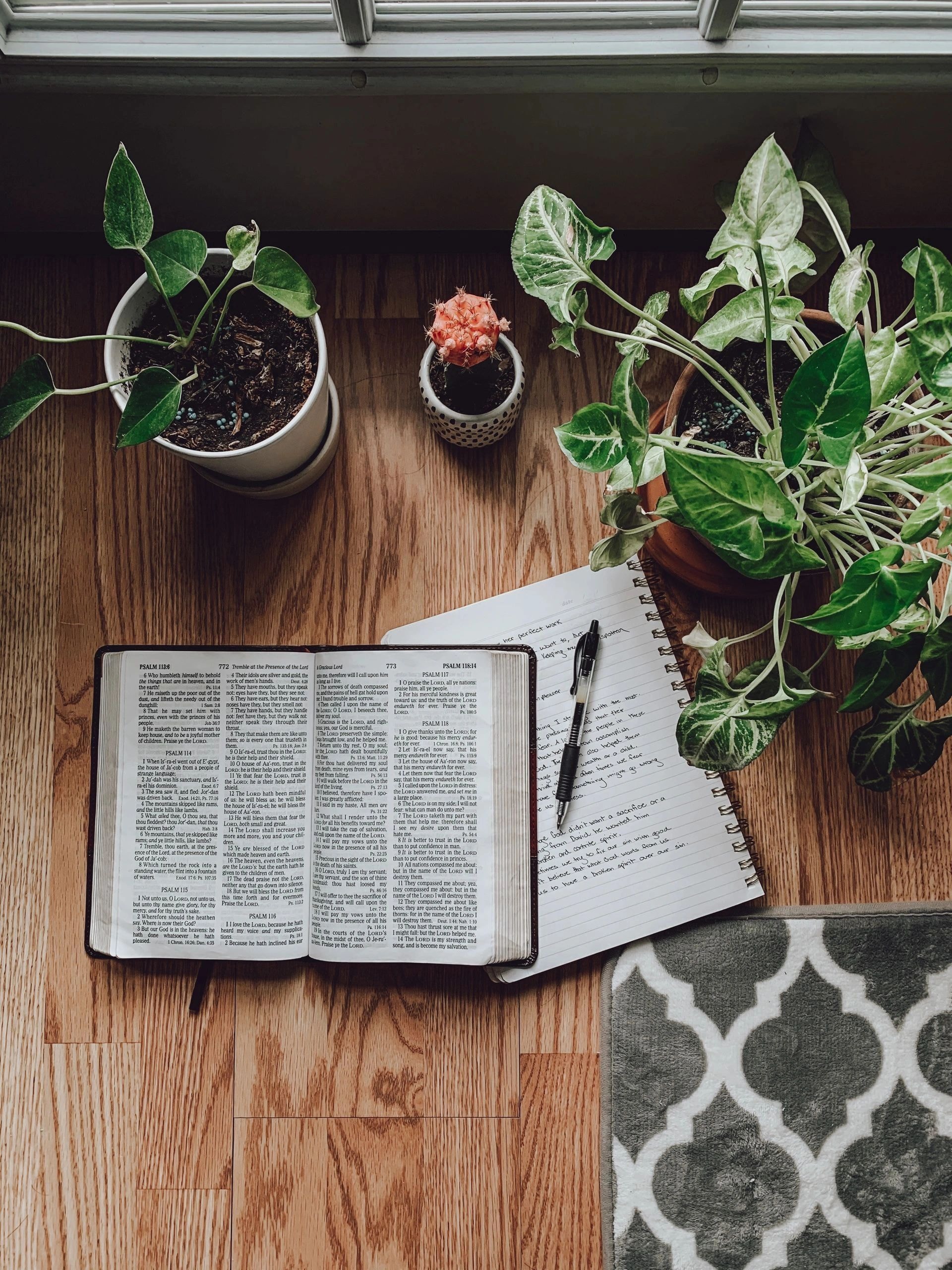 Bible and plants resource image